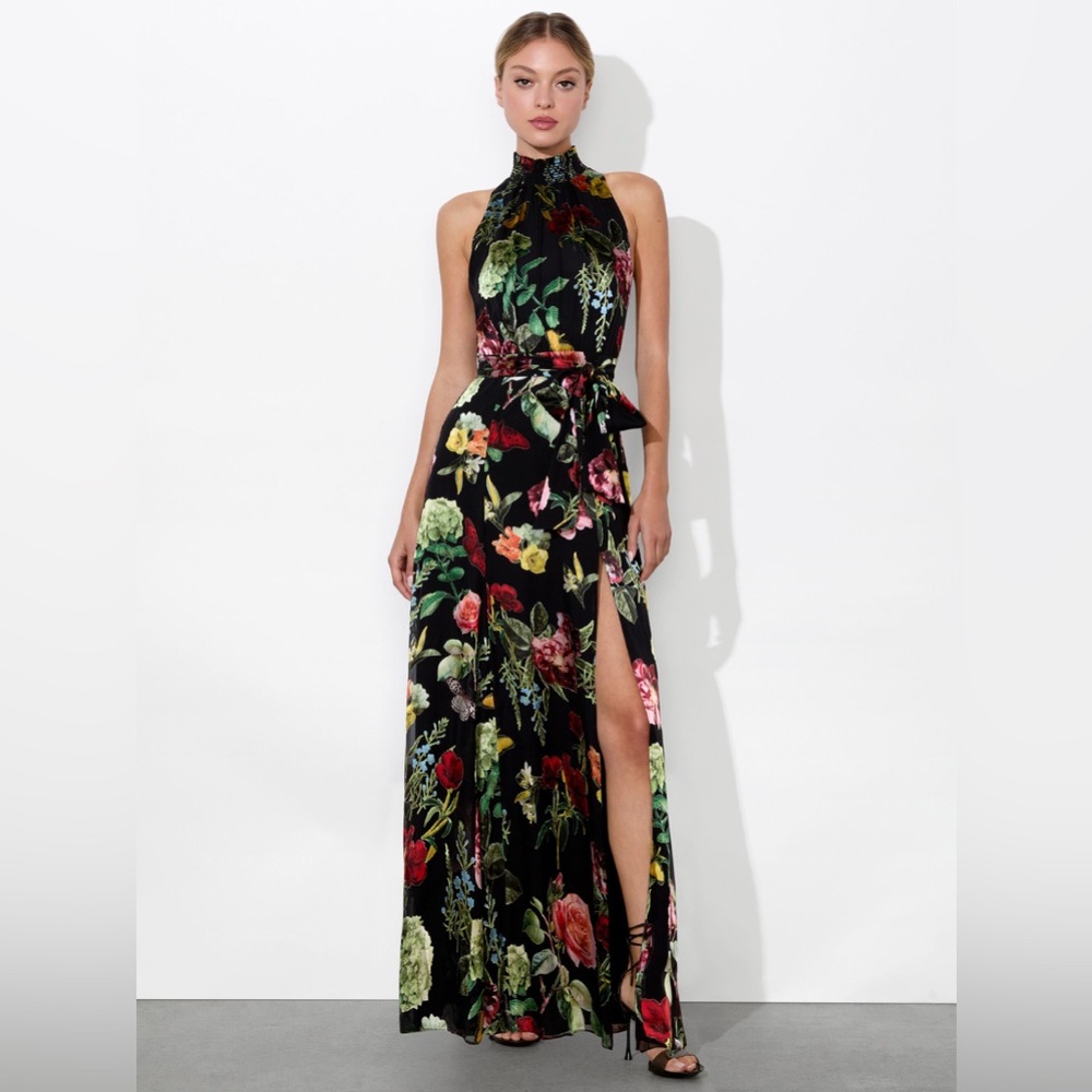 NWT $695 Alice and Olivia Dita Smocked Neck Godet Maxi Dress - Picture 2 of 10